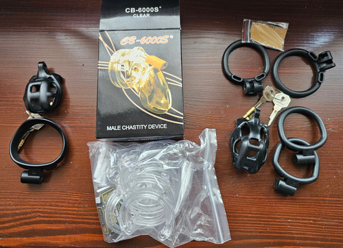 5 CB600s.jpg