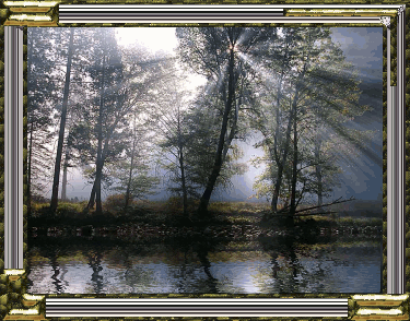 tumblr 8a1df91b1122d154a3a5a1c4ac3cfd69 152b0766 400.gif