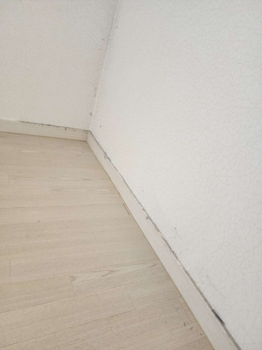 file.jpg