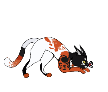 Без названия1301 20240503185433.png