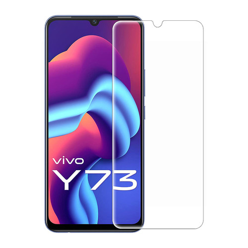 Vivo Y73.jpg