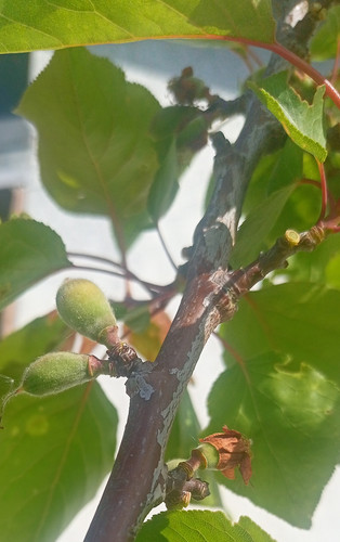 IMG 20240504 083839.jpg