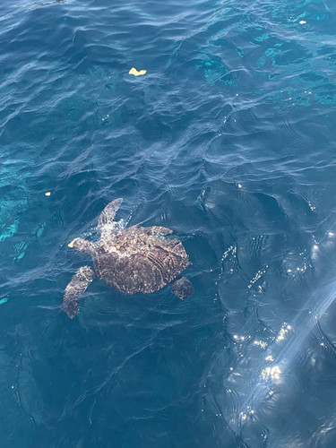 8CB5EB32 5420 4BEB 9BB1 D21AED126791.jpg