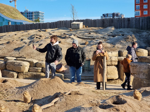 IMG 20221119 WA0023.jpg