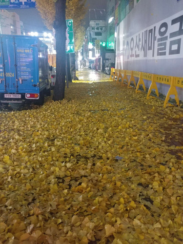 file.jpg