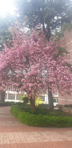 file.jpg