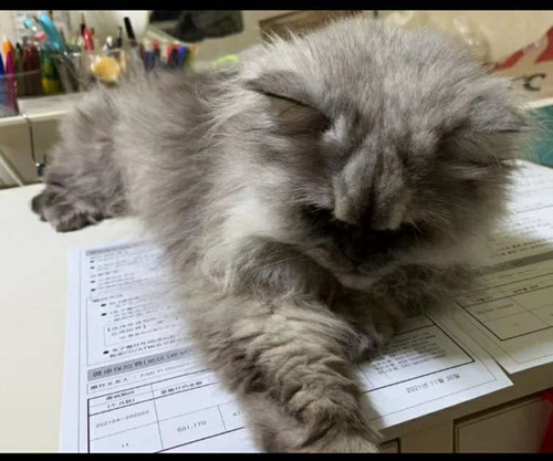 file.jpg