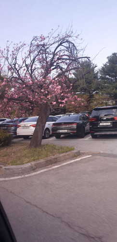 file.jpg