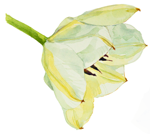 1 (32).png