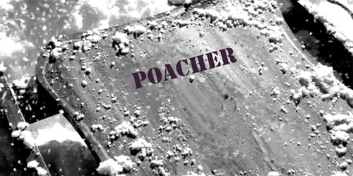 poacher.jpg