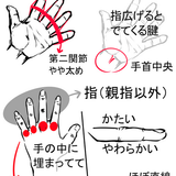 素材 手的参考 (31).png