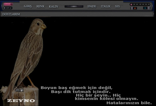 ZZ.jpg