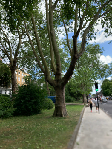 IMG 0952.jpg