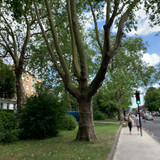 IMG 0952