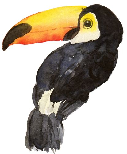 bird.png