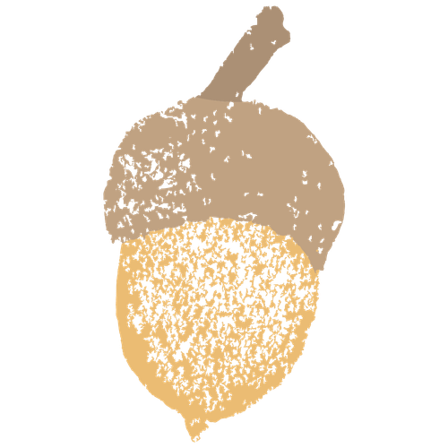 donguri 1 20190210150152.png