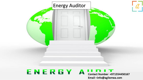 Energy Auditor 25 march 2024.jpg