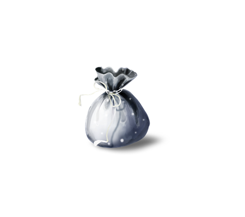 emeto DearToothFairy tooth fairy pouch sh.png