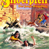 Silberpfeil 341
