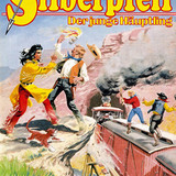 Silberpfeil 349