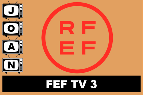 fef3.png