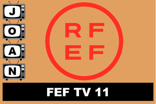 fef11.png