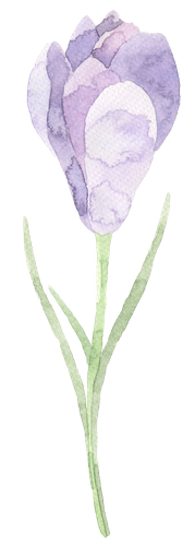 FLOWER 15.png