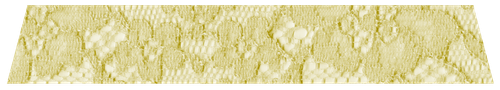 green lace banner for blogs.png