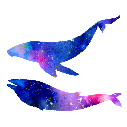H345 (25).png