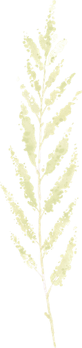 InTheWild Elements 19.png