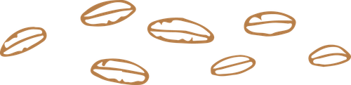 grain1.png
