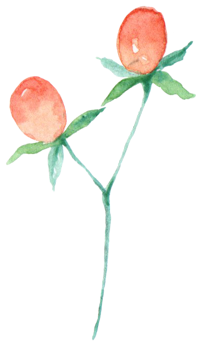 H389 (19).png