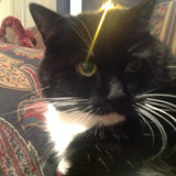 EF947CC2 A971 4854 B13D 5CCD5DB472A2