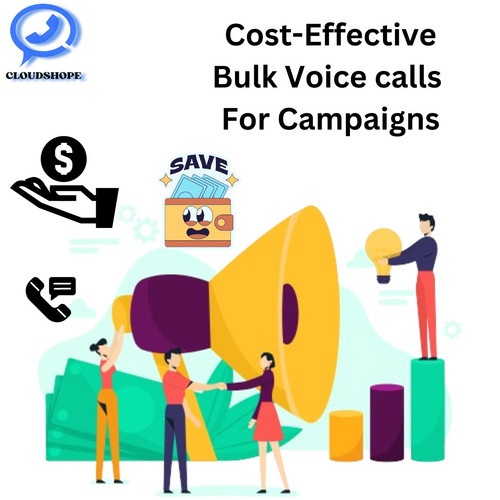 bulk voice for election.jpg