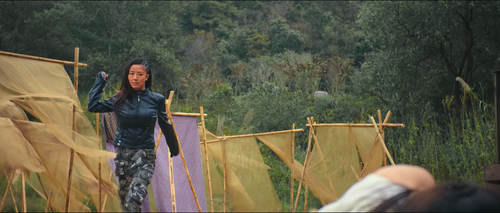 Snake.Disaster.Snake.Island.Attack.2022.2160p.WEB DL.DDP2.0.H265 MISS.mkv 20240324 084729.258.png