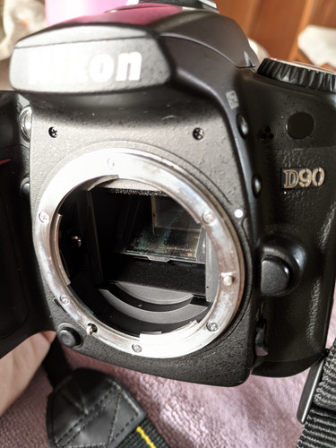 PXL 20240323 135226318