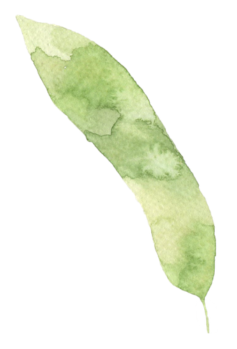 LEAF 14.png