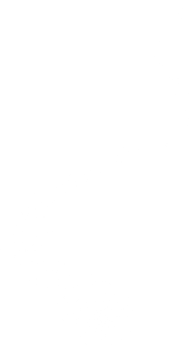 shootingstar01.png