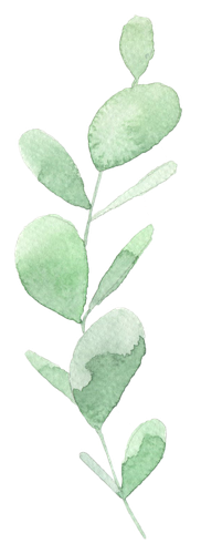 LEAF 24.png