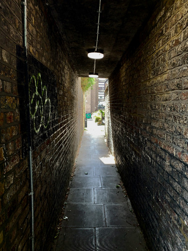 IMG 0962.jpg