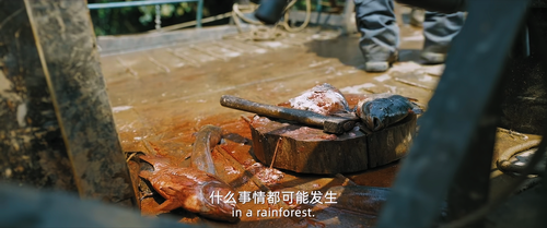 Anaconda.2024.1080p.WEB DL.DDP2.0.H265.HDR MISS.mkv 20240323 173018.364.png