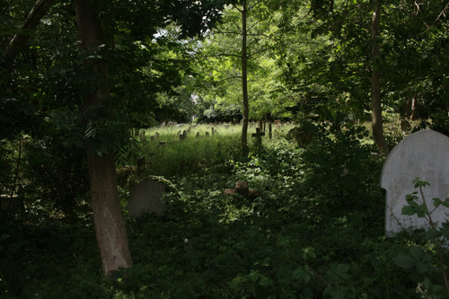 IMG 7568.jpg