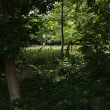 IMG 7568