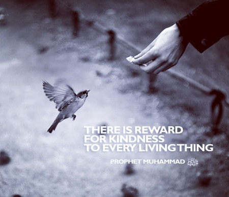 ' Not only should we be merciful to human beings, but also to animals '.jpg