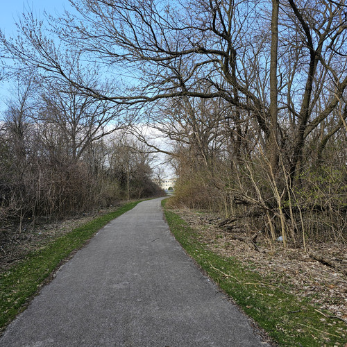 Community Service 2024 03 21 24 (40).jpg