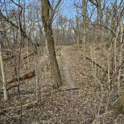 Community Service 2024 03 21 24 (58).jpg