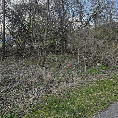 Community Service 2024 03 21 24 (38).jpg