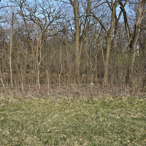 Community Service 2024 03 21 24 (48).jpg