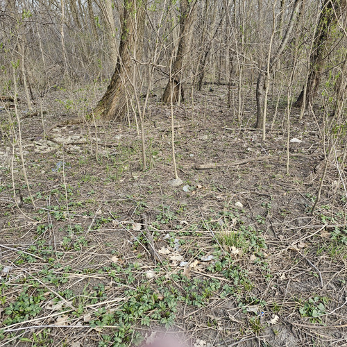 Community Service 2024 03 21 24 (42).jpg