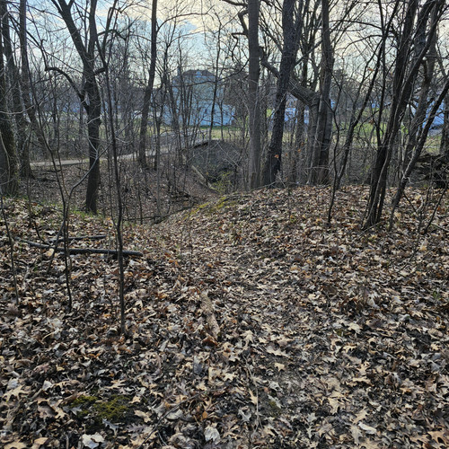 Community Service 2024 03 21 24 (69).jpg